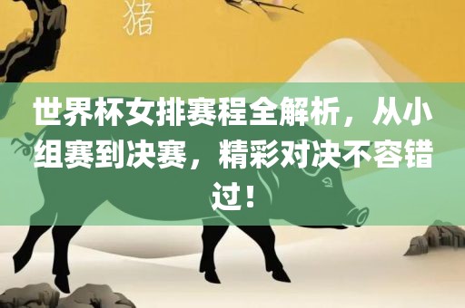 世界杯女排赛程全解析，从小组赛到决赛，精彩对决不容错过！