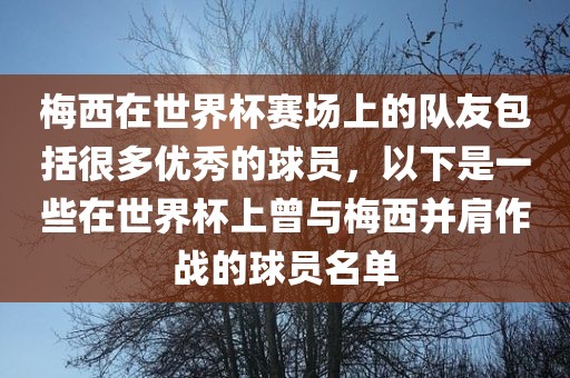 梅西在世界杯赛场上的队友包括很多优秀的球员，以下是一些在世界杯上曾与梅西并肩作战的球员名单