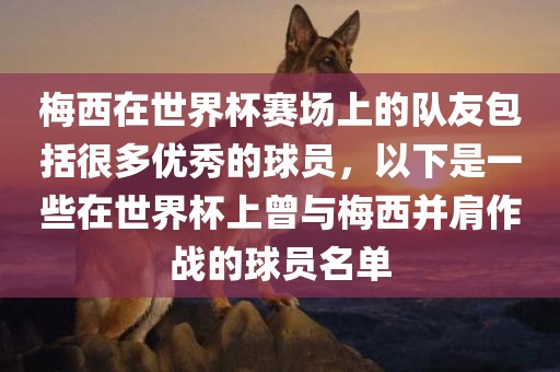 梅西在世界杯赛场上的队友包括很多优秀的球员，以下是一些在世界杯上曾与梅西并肩作战的球员名单