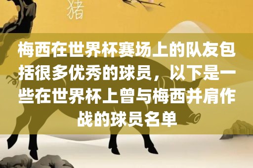 梅西在世界杯赛场上的队友包括很多优秀的球员，以下是一些在世界杯上曾与梅西并肩作战的球员名单