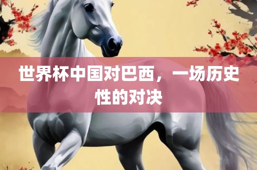 世界杯中国对巴西，一场历史性的对决洪湖市顺升工程机械租赁有限公司