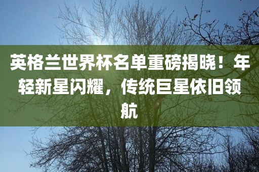 英格兰世界杯名单重磅揭晓！年轻新星闪耀，传统巨星依旧领航
