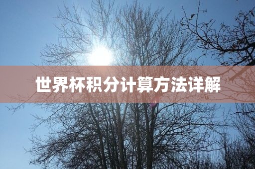 世界杯积分计算方法详解