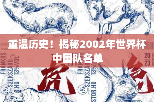 重温历史！揭秘2002年世界杯中国队名单