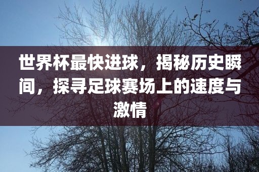 世界杯最快进球，揭秘历史瞬间，探寻足球赛场上的速度与激情