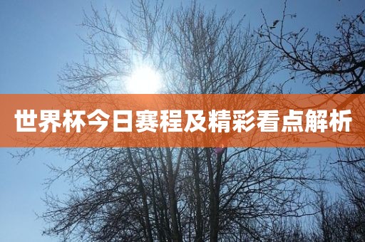 世界杯今日赛程及精彩看点解析