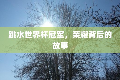 跳水世界杯冠军，荣耀背后的故事