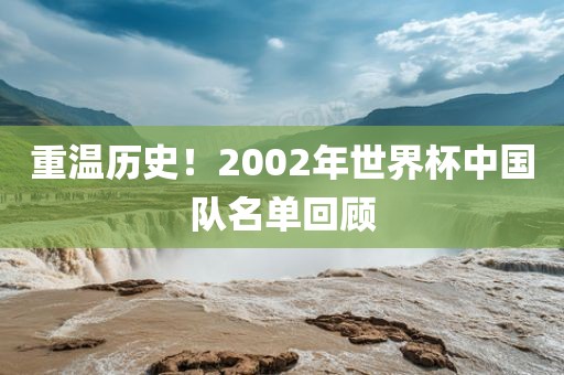 重温历史！2002年世界杯中国队名单回顾