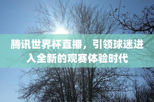 腾讯世界杯直播，引领球迷进入全新的观赛体验时代