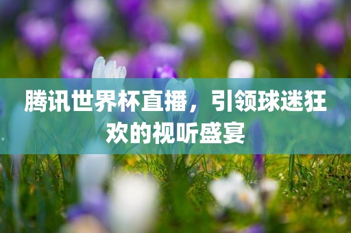 腾讯世界杯直播，引领球迷狂欢的视听盛宴