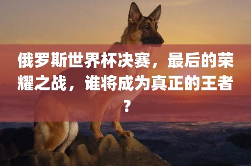 俄罗斯世界杯决赛，最后的荣耀之战，谁将成为真正的王者？