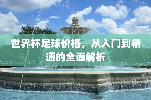 世界杯足球价格，从入门到精通的全面解析