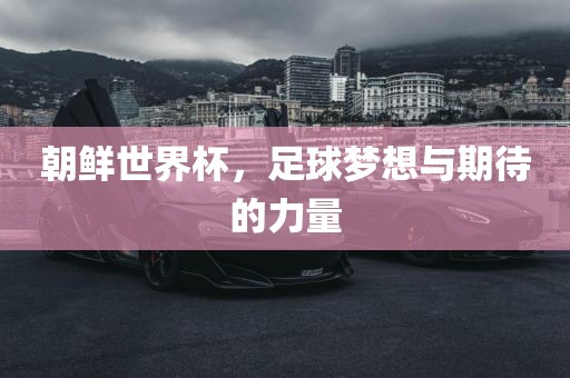 朝鲜世界杯，足球梦想与期待的力量