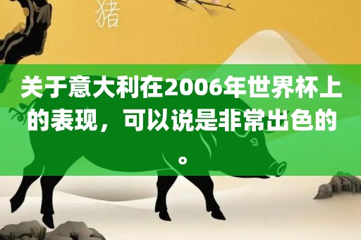 关于意大利在2006年世界杯上的表现，可以说是非常出色的。