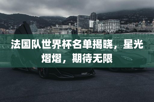 法国队世界杯名单揭晓，星光熠熠，洪湖市顺升工程机械租赁有限公司期待无限