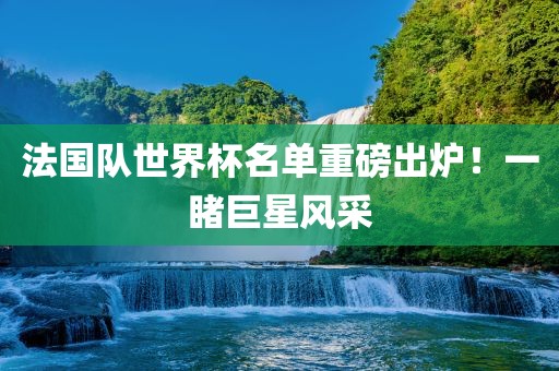 法国队世界杯名单重磅出炉！一睹巨星风采洪湖市顺升工程机械租赁有限公司