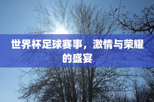 世界杯足球赛事，激情与荣耀的盛宴
