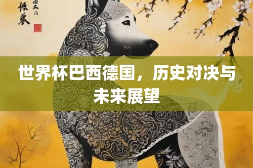 世界杯巴西德国，历史对决与未来展望
