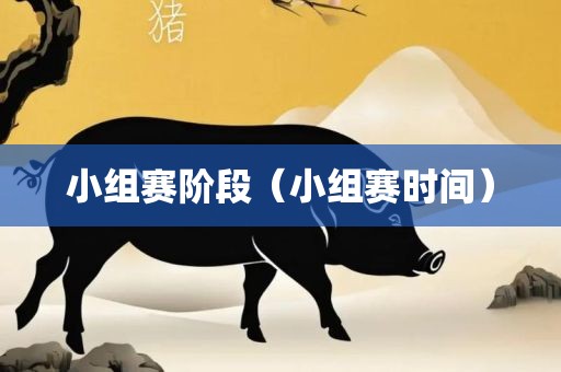 小组赛阶段（小组赛时间）