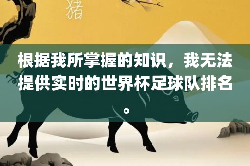 根据我所掌握的知识，我无法提供实时的世界杯足球队排名。