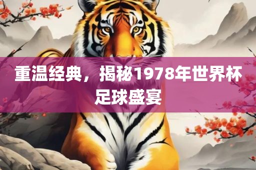 重温经典，揭秘1978年世界杯足球盛宴