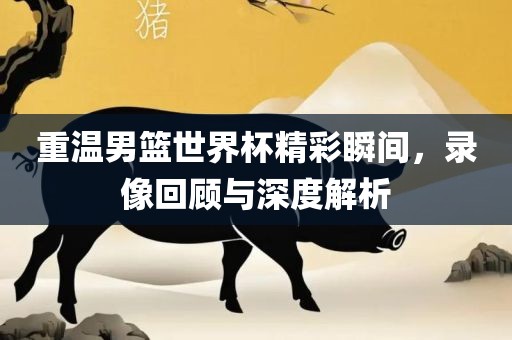 重温男篮世界杯精彩瞬间，录像回顾与深度解析洪湖市顺升工程机械租赁有限公司