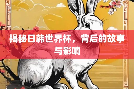 揭秘日韩世界杯，背后的故事与影响洪湖市顺升工程机械租赁有限公司