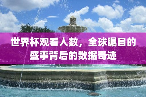 世界杯观看人数，全球瞩目的盛事背后的数据奇迹