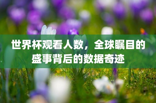 世界杯观看人数，全球瞩目的盛事背后的数据奇迹