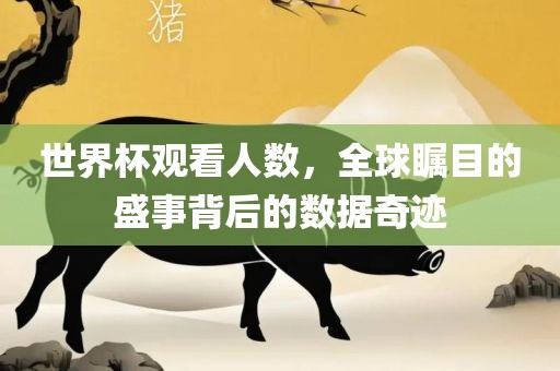 世界杯观看人数，全球瞩目的盛事背后的数据奇迹