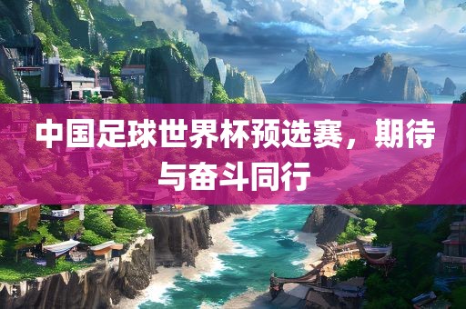 中国足球世界杯预选赛，期待与奋斗同行