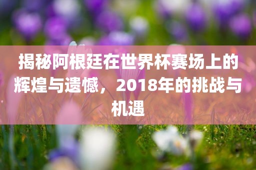 揭秘阿根廷在世界杯赛场上的辉煌与遗憾，2018年的挑战与机遇