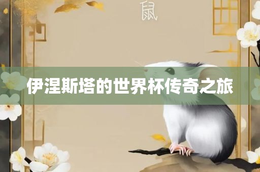 伊涅斯塔的世界杯传奇之旅