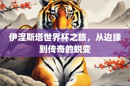 伊涅斯塔世界杯之旅，从边缘到传奇的蜕变