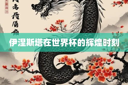 伊涅斯塔在世界杯的辉煌时刻