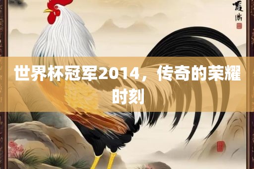 世界杯冠军2014，传奇的荣耀时刻