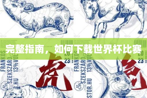 完整指南，如何下载世界杯比赛