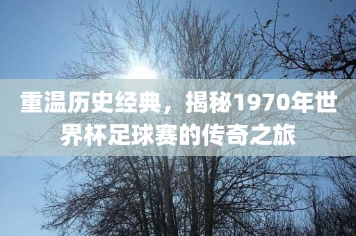 重温历史经典，揭秘1970年世界杯足球赛的传奇之旅