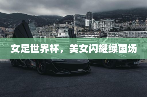 女足世界杯，美女闪耀绿茵场洪湖市顺升工程机械租赁有限公司