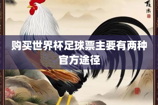 购买世界杯足球票主要有两种官方途径
