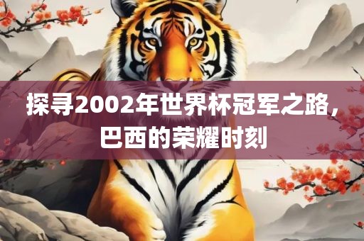 探寻2002年世界杯冠军之路，巴西的荣耀时刻