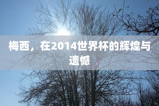 梅西，在2014世界杯的辉煌与遗憾