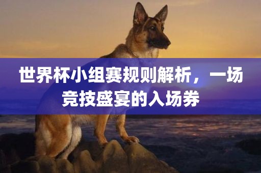 世界杯小组赛规则解析，一场竞技盛宴的入场券