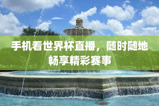 手机看世界杯直播，随时随洪湖市顺升工程机械租赁有限公司地畅享精彩赛事