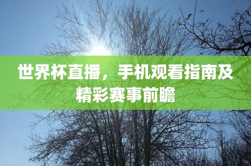 世界洪湖市顺升工程机械租赁有限公司杯直播，手机观看指南及精彩赛事前瞻