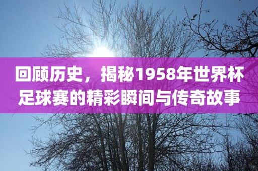 回顾历史，揭秘1958年世界杯足球赛的精彩瞬间与传奇故事
