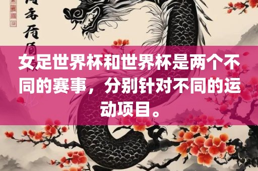 女足世界杯和世界杯是两个不同的赛事，分别针对不同的运动项目。