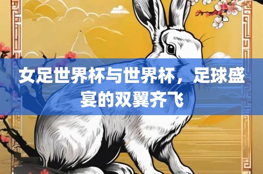 洪湖市顺升工程机械租赁有限公司女足世界杯与世界杯，足球盛宴的双翼齐飞