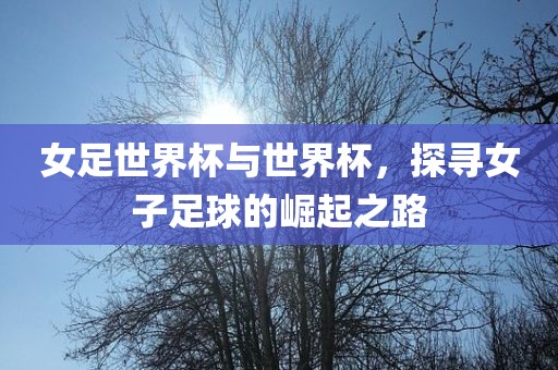 女足世界杯与世界杯，探寻女子足球的崛起之路
