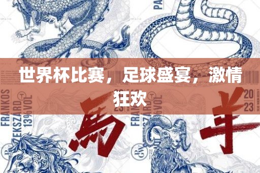 世界杯比赛，足球盛宴，激情狂欢